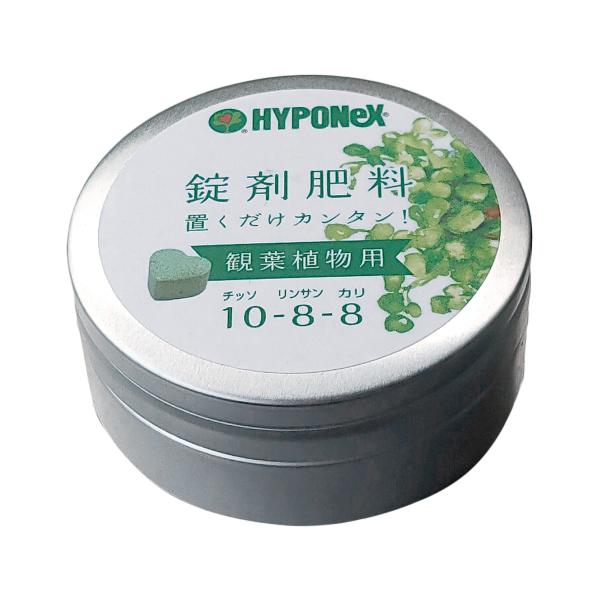 ハイポネックス 錠剤肥料 約70錠 観葉植物用 置肥 チッソ-リンサン-カリ 10-8-8 微量要素...