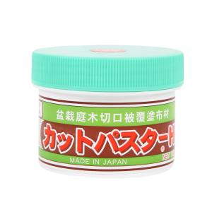 ハナゲン カットパスターHi 松柏用 190g 盆栽庭木切口被覆塗布材 癒合剤 緑 剪定