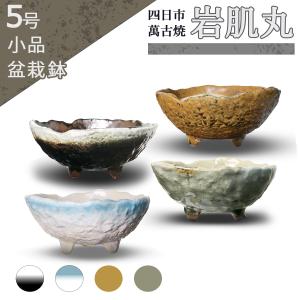 盆栽鉢 1号 豆鉢 6点セット 3cm 盆栽 陶器 小さい 極小 器 小品 盆栽鉢 1号 豆鉢 6点セット 3cm 盆栽 陶器 小さい 極小 器 小品