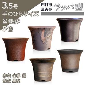 盆栽鉢 ラッパ型 3.5号 四日市萬古焼 金彩 黒 赤吹 黒吹 金吹 丸 円形 陶器 小品 小さい 深め ミニ アガベ 塊根 観葉植物 約10.5センチ 植木鉢 苔 おしゃれ｜umekichi