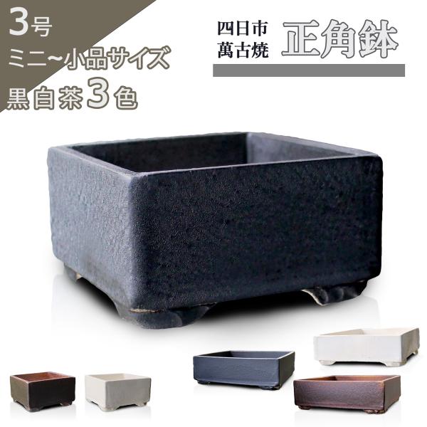 盆栽鉢 陶器 3号 正角鉢 おしゃれ 専門店 ミニ 小さい 黒釉 白釉 茶釉 四日市萬古焼 英窯 四...
