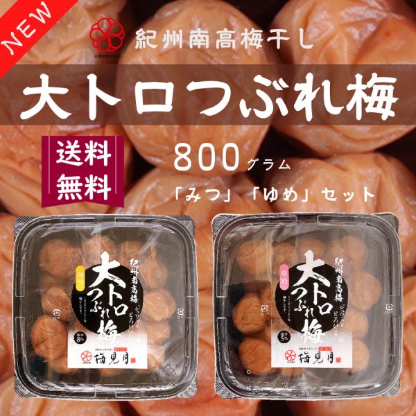 梅干し 訳あり 送料無料 紀州 梅干 2種セット つぶれ梅 はちみつ梅 減塩 完熟「大トロつぶれ梅 ...