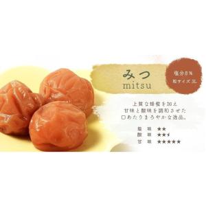 梅干し 訳あり 送料無料 紀州 梅干 2種セッ...の詳細画像1