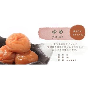 梅干し 訳あり 送料無料 紀州 梅干 2種セッ...の詳細画像4