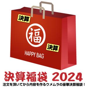 【クール配送】2024年 決算 ワイン 福袋(う) 6本｜umemurawine