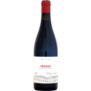 テルモ・ロドリゲス ペガソ・ピサーラ [2019]750ml (赤ワイン)