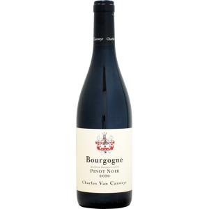 シャルル・ヴァン・カネット ブルゴーニュ ピノ・ノワール [2020]750ml (赤ワイン)