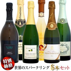 サロン・ブラン・ド・ブラン 【マグナム瓶】サロン (SALON) [2007