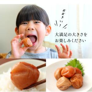 送料無料 訳あり 梅干し はちみつ 梅 240...の詳細画像5