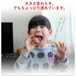 送料無料 訳あり 梅干し 白干し 梅 500g...の詳細画像2