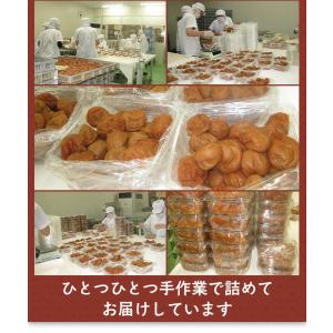 送料無料 訳あり 梅干し 白干し 梅 500g...の詳細画像4