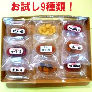 【送料無料】お試し9種類！紀州南高梅干し7種類と金山寺みそと田舎らっきょう　ヤマイチ本店自慢の味！ 　