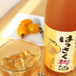 紀州 はっさく梅酒 1800ml 「中野ＢＣ／和歌山」｜umeshu