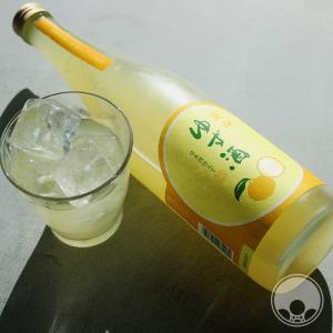 陶陶酒 滋養保健酒 銀印（甘口）1000ml 薬味酒 リキュール : 上方