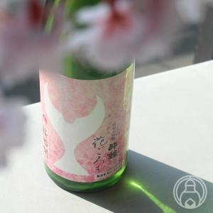 智恵美人(ちえびじん) 紫光 純米大吟醸酒 720ml 化粧箱ギフトボックス