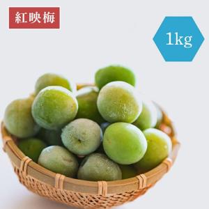 《冷凍》紅映梅 梅酒作り 梅の実 単品 1kg 冷凍便｜umeshu