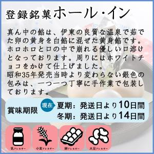 登録銘菓 ホール・イン[2個入]の詳細画像1