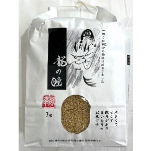 ハツシモ はつしも 寿司米 大粒 岐阜県産 10kg 令和7年産 白米 5kg×2袋