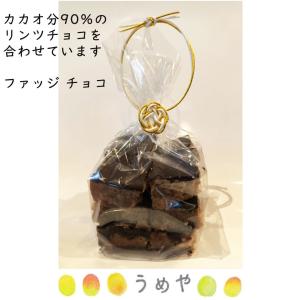 お菓子 ギフト プレゼント 話題のスイーツ お取り寄せ 有名 洋菓子 お礼 詰め合わせ 常温 うめや ファッジ チョコレート Fc Fc うめや 福岡 通販 Yahoo ショッピング