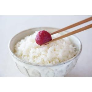 【豊の香梅】 七折梅干し 300g 天日塩だけ...の詳細画像4