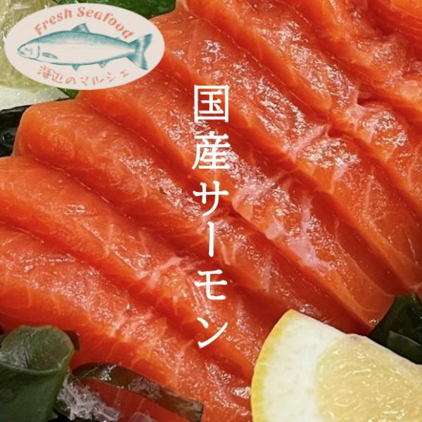 国産サーモンフィレ１枚　