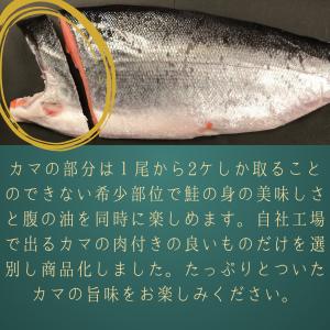 銀鮭カマ3kgの詳細画像2