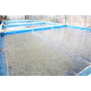 生!海ぶどう100g×2p(茎付き)タレ付き☆...の詳細画像3