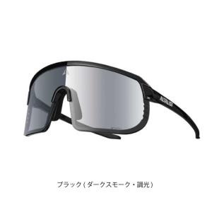 【在庫あり】ALTALIST ( アルタリスト...の詳細画像2