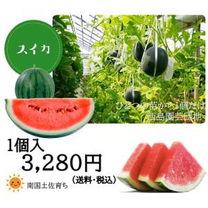 敬老の日 ご贈答 ご当地お取り寄せ プレゼント フルーツ