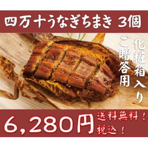 ご当地お取り寄せグルメ ご贈答 鰻のかば焼き スタミナ おこわ うるち米 高知県 四万十川 国産 四万十うなぎちまき 3個 ご贈答用 送料無料｜umimachi-shop