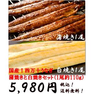 お取り寄せ 鰻 人気 かば焼き 高知県 清流四万十川 スタミナ 国産 四万十うなぎ 蒲焼きと白焼きセット(約1尾110ｇ)各1尾 ご自宅 送料無料｜umimachi-shop