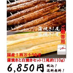 お取り寄せグルメ 鰻 人気 かば焼き 清流四万十川 スタミナ 国産 四万十うなぎ　蒲焼きと白焼きセット（約1尾110ｇ）各1尾 ご贈答 送料無料