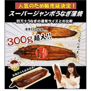 お取り寄せ ご贈答 景品 お祝い 鰻のかば焼き...の詳細画像1