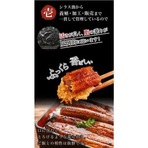 お取り寄せ ご贈答 景品 お祝い 鰻のかば焼き...の詳細画像2