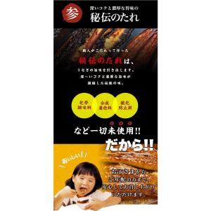 お取り寄せ ご贈答 景品 お祝い 鰻のかば焼き...の詳細画像4