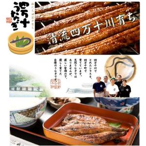 お取り寄せ ご贈答 景品 お祝い 鰻のかば焼き...の詳細画像5