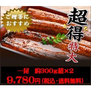 ご当地お取り寄せグルメ お集まり かば焼き スタミナ 鰻 高知県 四万十川 国産 300ｇ超え ジャンボ 四万十うなぎ2尾 ご自宅用 送料無料｜umimachi-shop