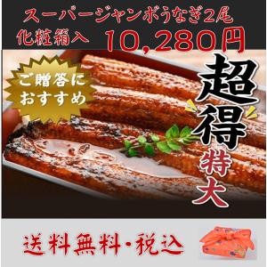 ご当地お取り寄せ ご贈答 鰻のかば焼き スタミナ 高知県 四万十川 国産 300ｇ スーパージャンボ 四万十うなぎ2尾 化粧箱入 送料無料