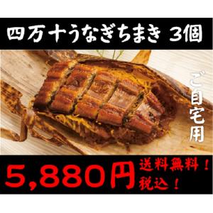 ご当地お取り寄せグルメ ご贈答 鰻のかば焼き スタミナ...