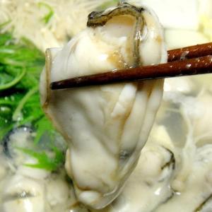 牡蠣 むき身 冷凍 大粒 牡蠣鍋 炊き込みご飯 バター焼き 広島産 天然 カキ 約1kg