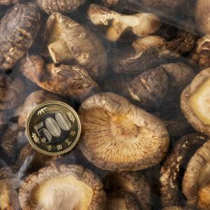 【送料無料】干し椎茸 1kg 3.5〜5cm ...の詳細画像3