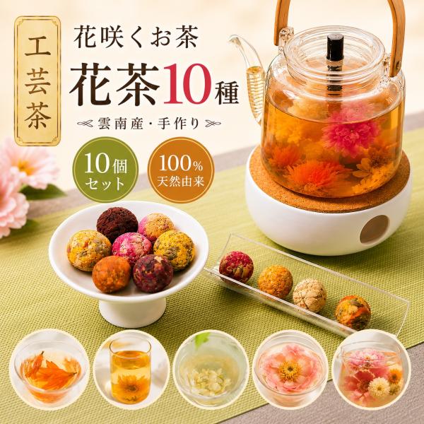 工芸茶 花咲くお茶 花茶10種 10個セット 雲南産 手作り 龍珠花茶 ジャスミン茶 龍珠茶 ローズ...