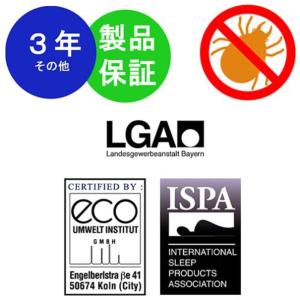 ボディドクター バックアップ 柔らかく硬い正反...の詳細画像5