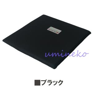 ボディドクター ザ・シート (滑り止めなしタイ...の詳細画像1