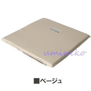 ボディドクター ザ・シート (滑り止めなしタイ...の詳細画像3