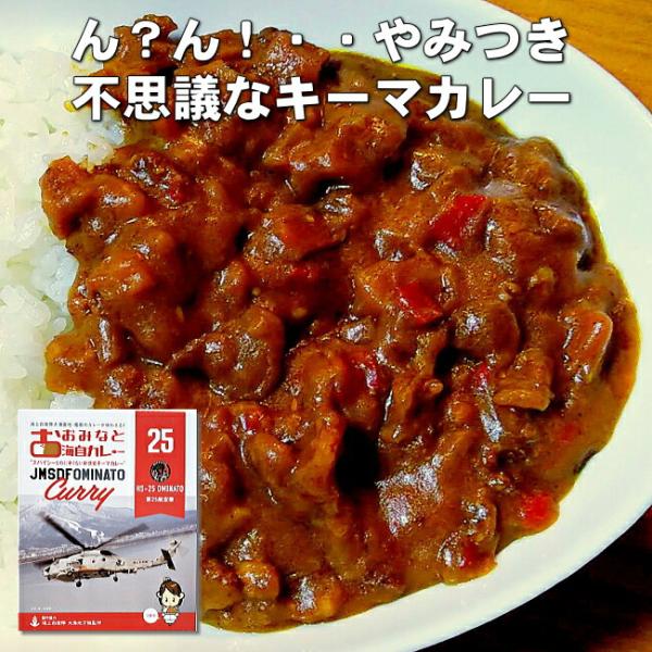 おおみなと海自カレー第25航空隊キーマカレー 商品紛失補償付 青森 むつ 海上自衛隊 ミリめし 海軍...