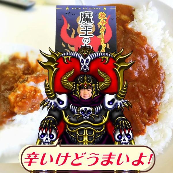 激辛ガーリックカレー 魔王のカレー メール便送料込み