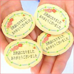 サンキューせんべい単品 商品破損補償あり 個包装 特注品 名入 メッセージ オーダーメイド プチギフト ありがとう 感謝 お世話になりました 個包装