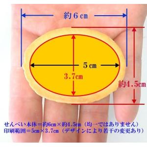 秋の行楽ギフト-サンキューせんべい2-プリント...の詳細画像3