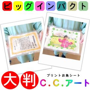 食べられるメッセージカードＣ.Ｃ.アートA4サイズ プリントシート 珍味駄菓子 あなただけのお菓子 簡単 注文 作成 大きい お菓子 珍しい｜uminekotayori